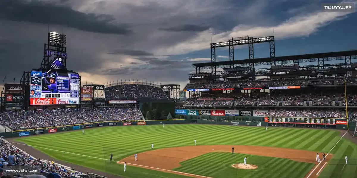 行业领先的理由